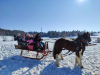 IMG-1fee977626febda8fe5e2260ac761ef5-V