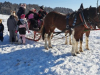 IMG-20250219-WA0004